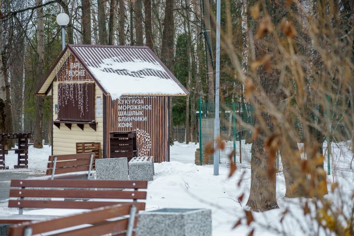Кашира. Городской парк. Зима
