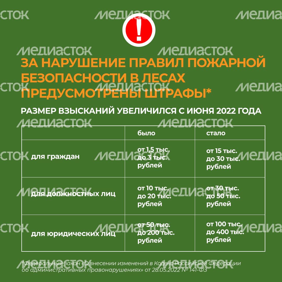 комлесхоз_костер_кв_5.jpg