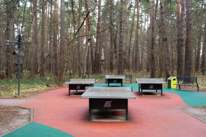 Осенний парк "Раздолье" в Одинцовском округе