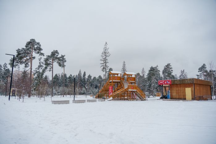 Балашиха. Пестовский парк. Зима