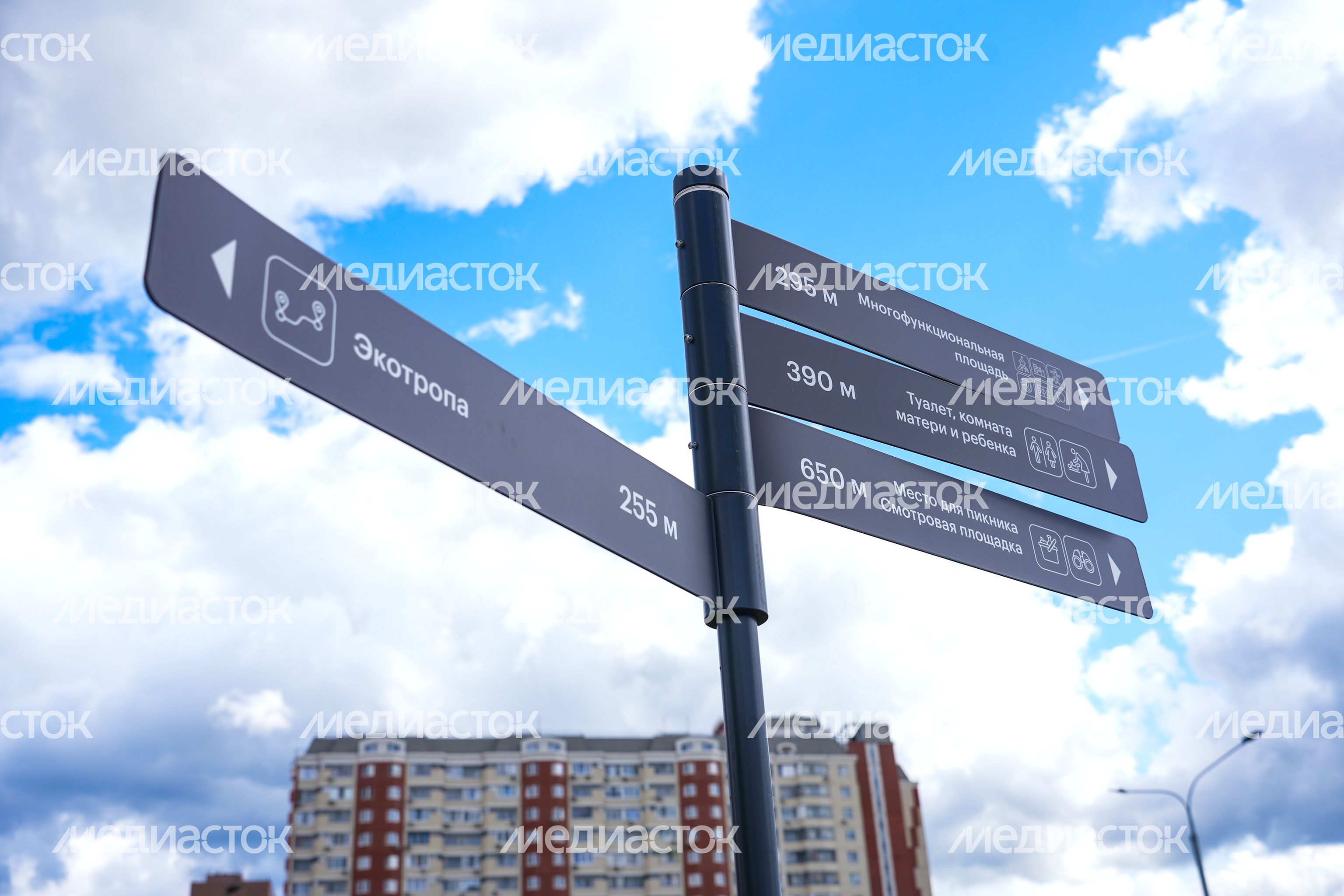 Благоустройство парка "Дружба" в Люберцах