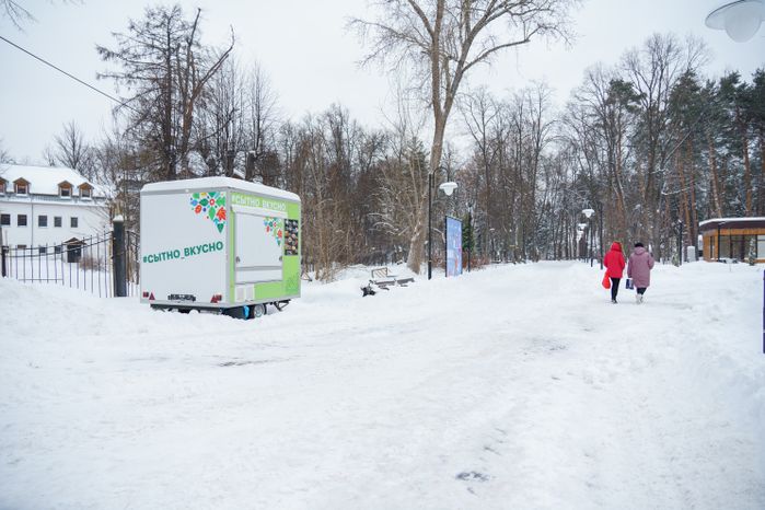 Богородский. Ногинск. Глуховский парк. Зима