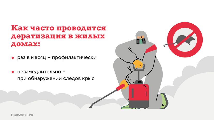 Крысы в МКД горизонталь (4)