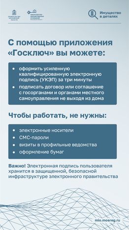 вертикали приложение госключ 01.png