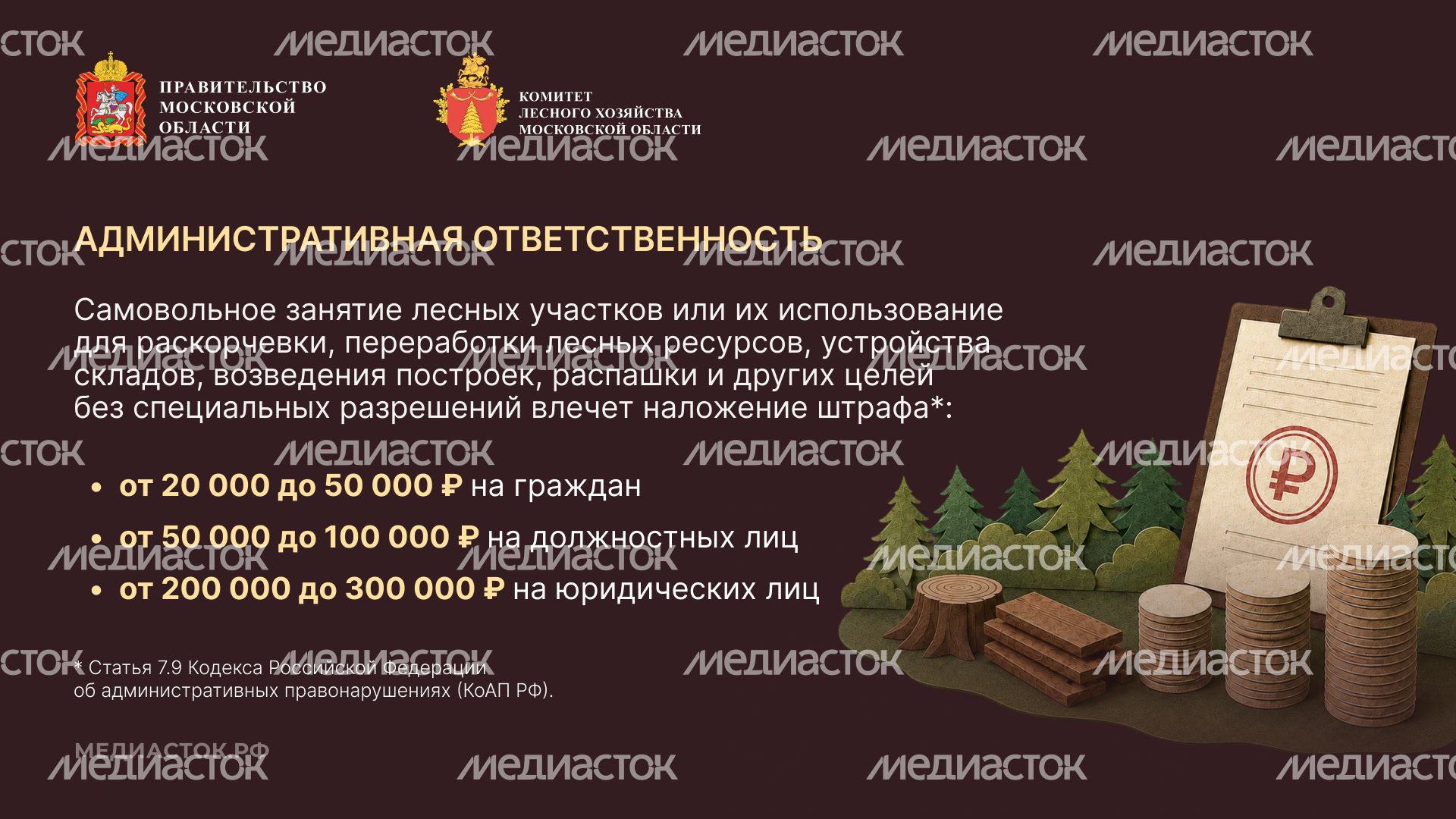 Самовольный захват и использование лесных участков горизонталь 04