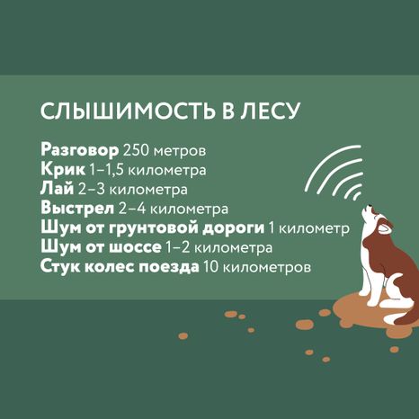 Как не потеряться в лесу