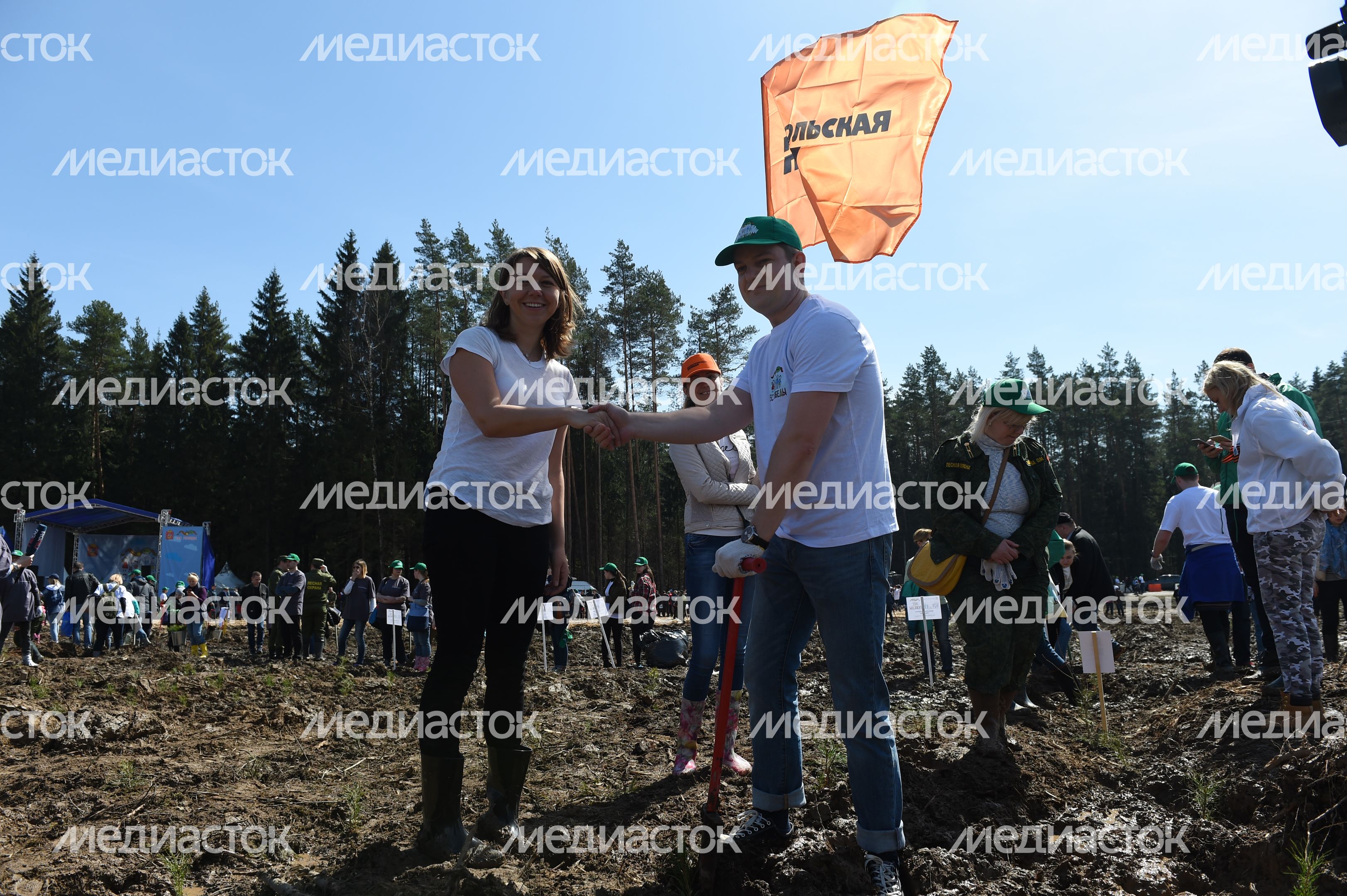 Общеобластная акция «Лес Победы» на центральной площадке в г. о. Истра 