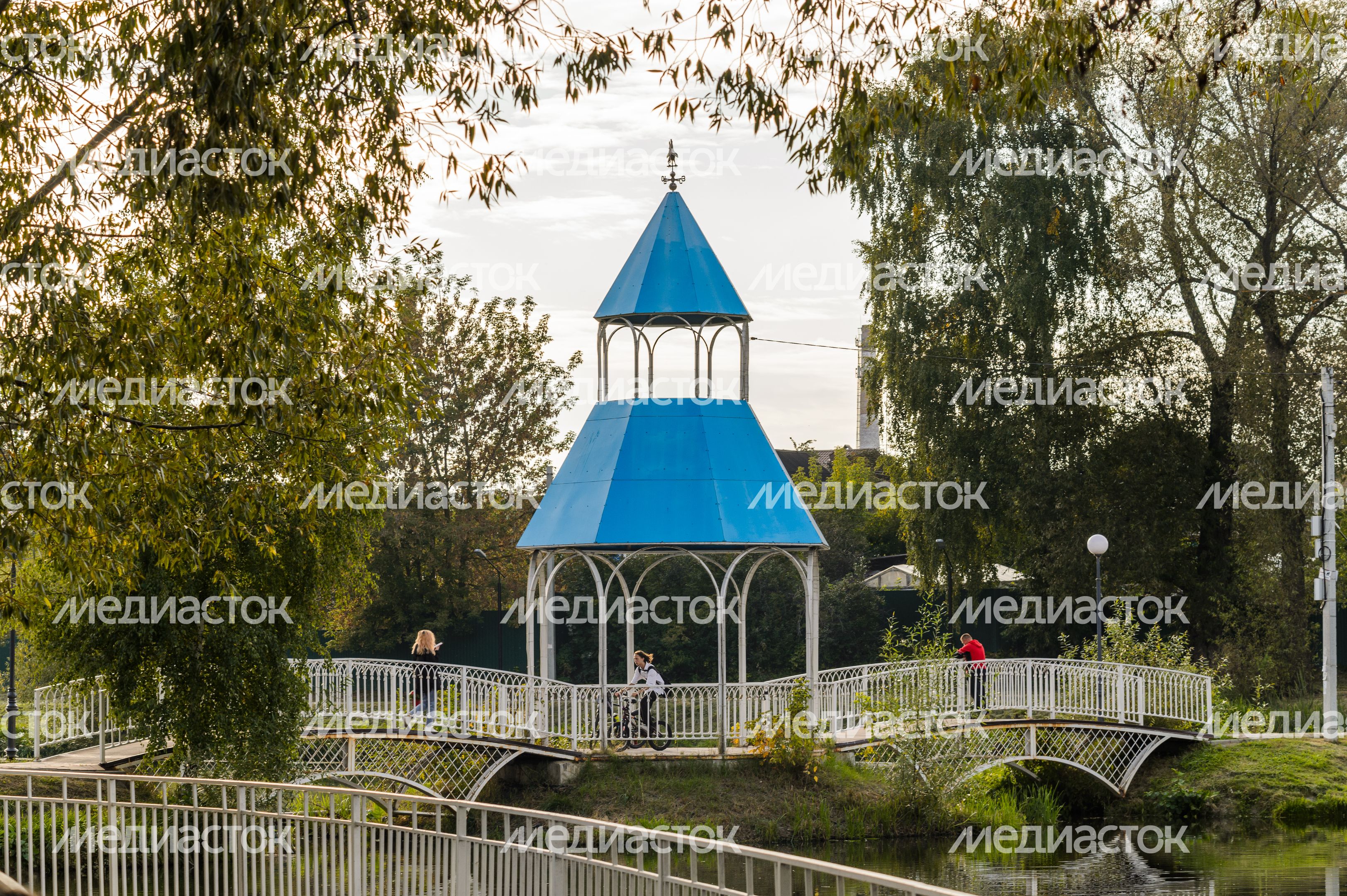 Бронницы. Кожурновский пруд Бронницы. Кожурновский пруд