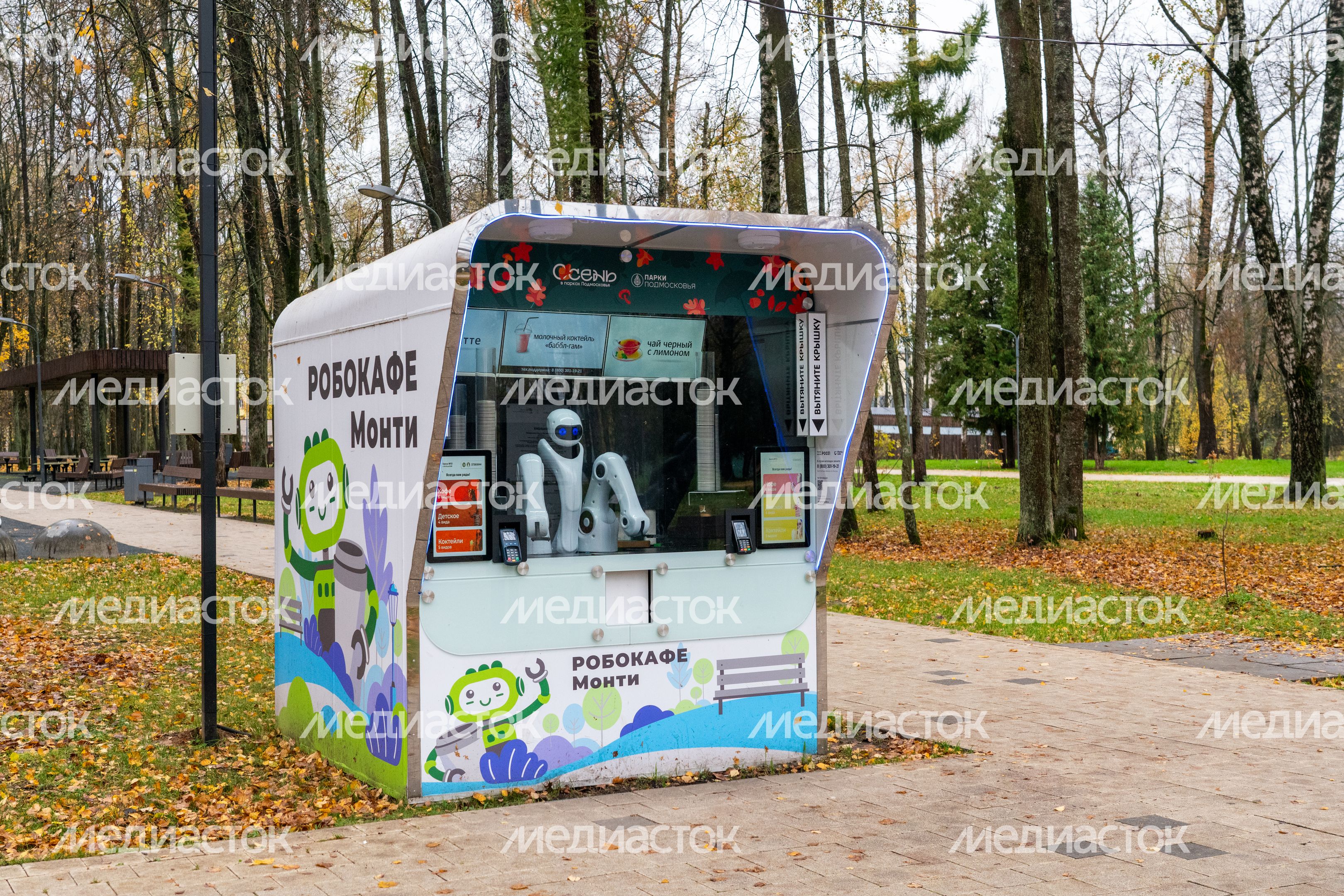 Робокафе в городском парке культуры и отдыха Солнечногорска осенью Робокафе в городском парке культуры и отдыха Солнечногорска осенью