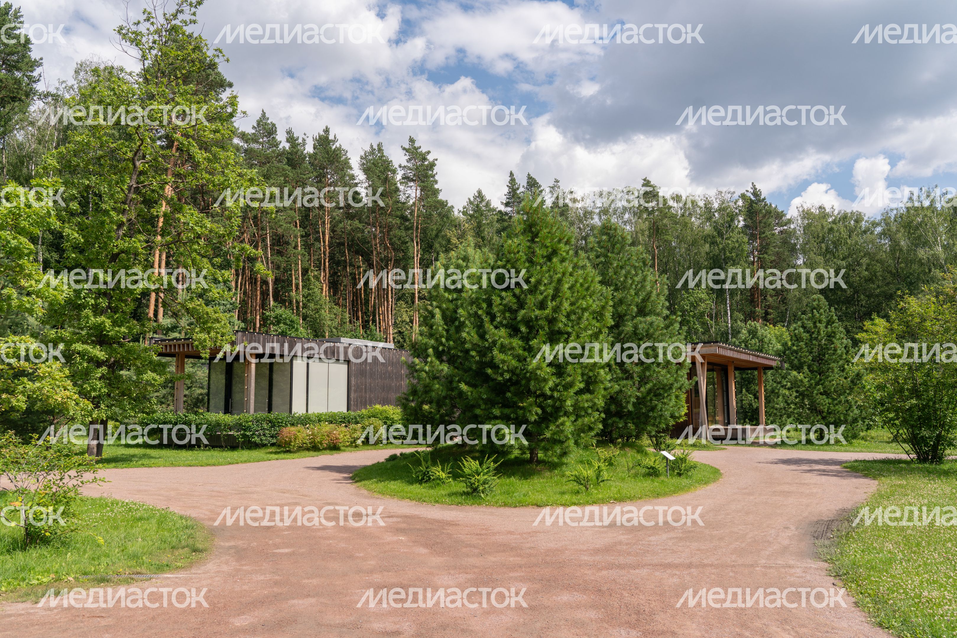 Мещерский парк летом