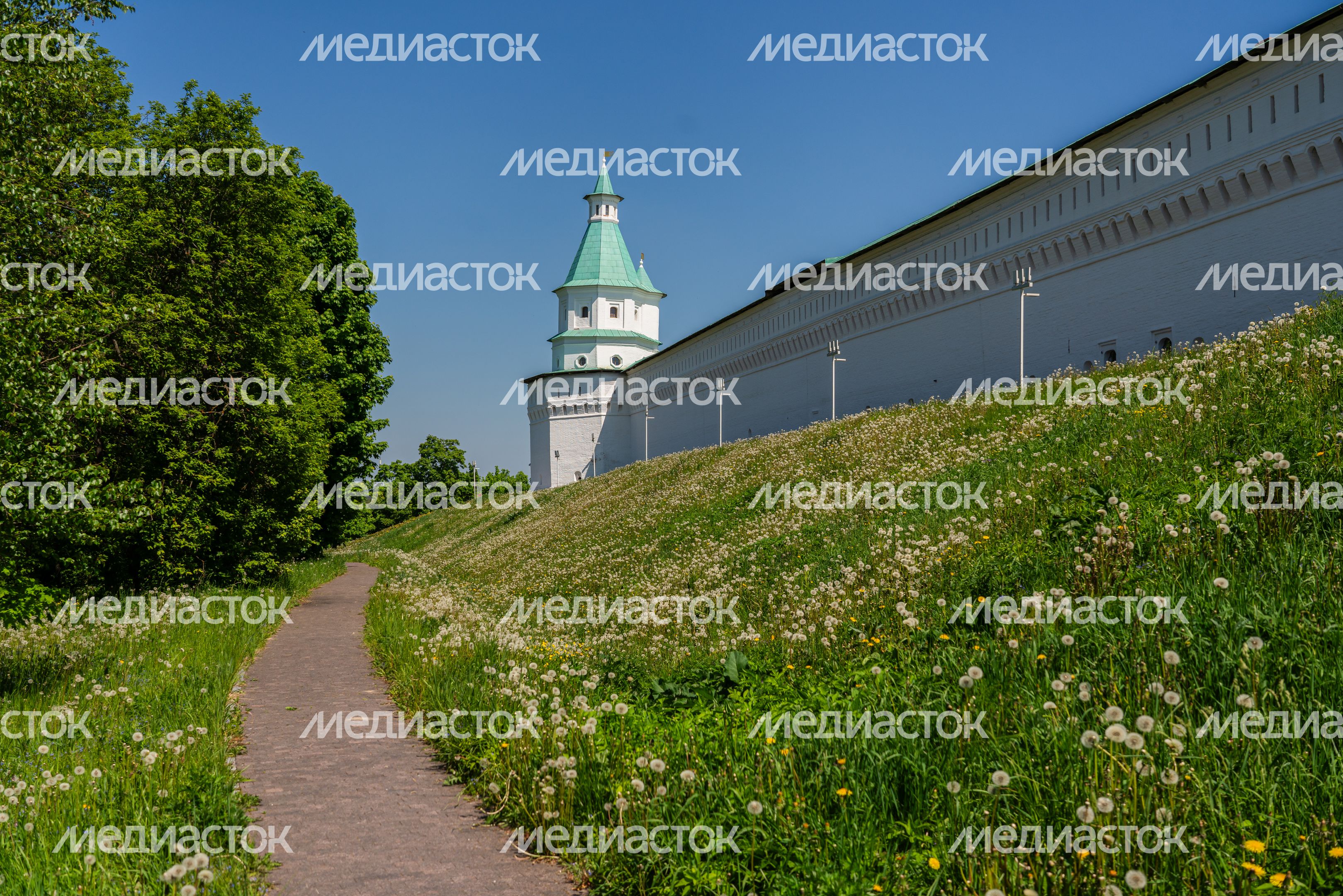 Воскресенский Ново-Иерусалимский ставропигиальный мужской монастырь. Летние виды Воскресенский Ново-Иерусалимский ставропигиальный мужской монастырь. Летние виды