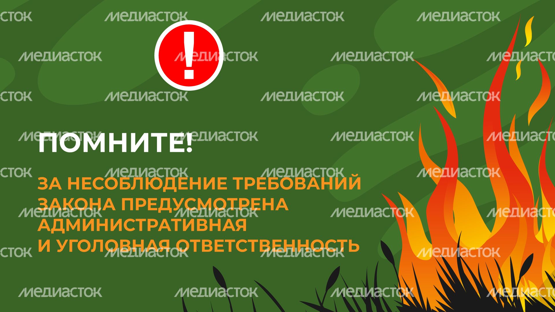 пал_гор_8.jpg