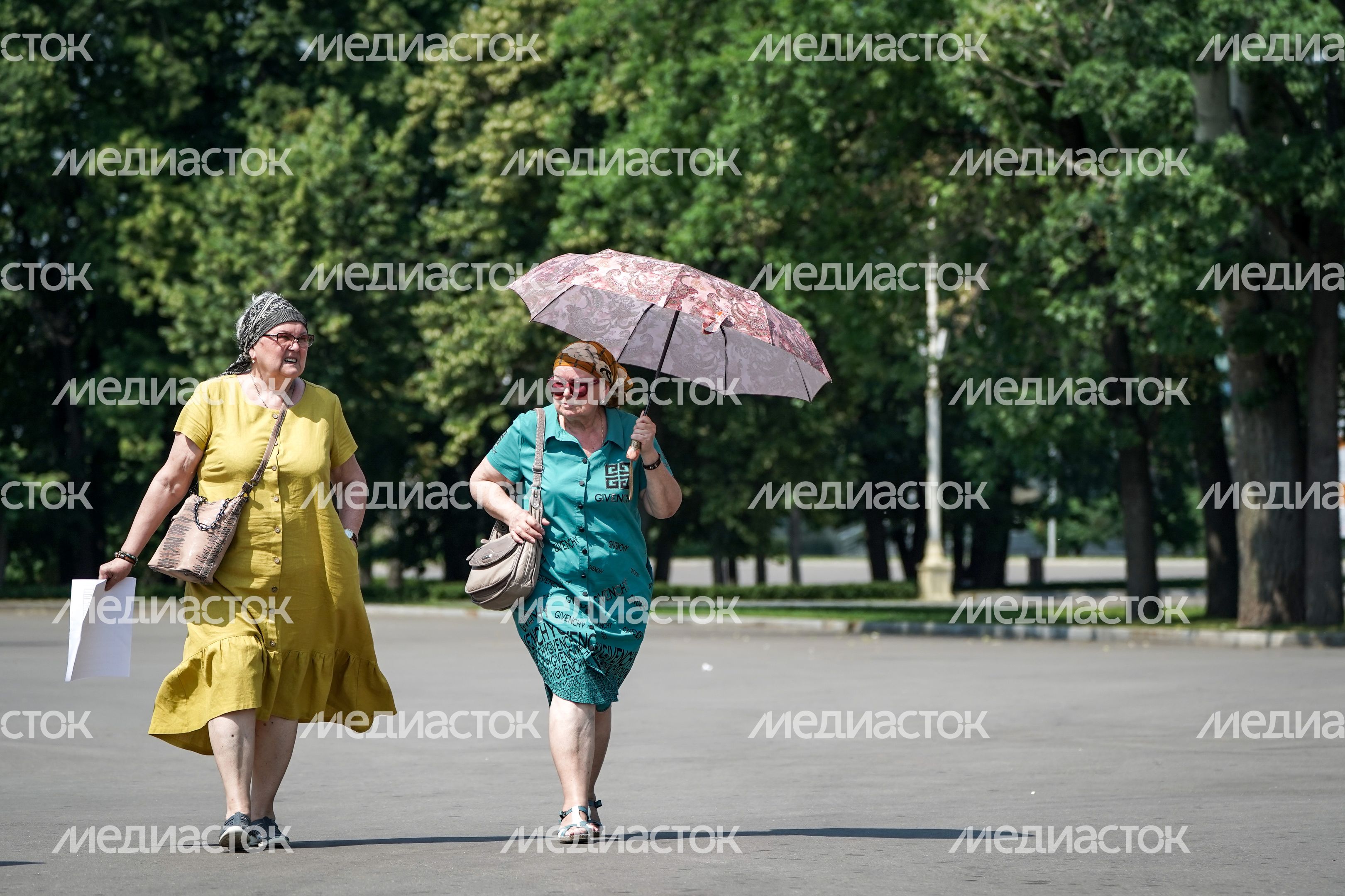 Аномальная жара в Москве