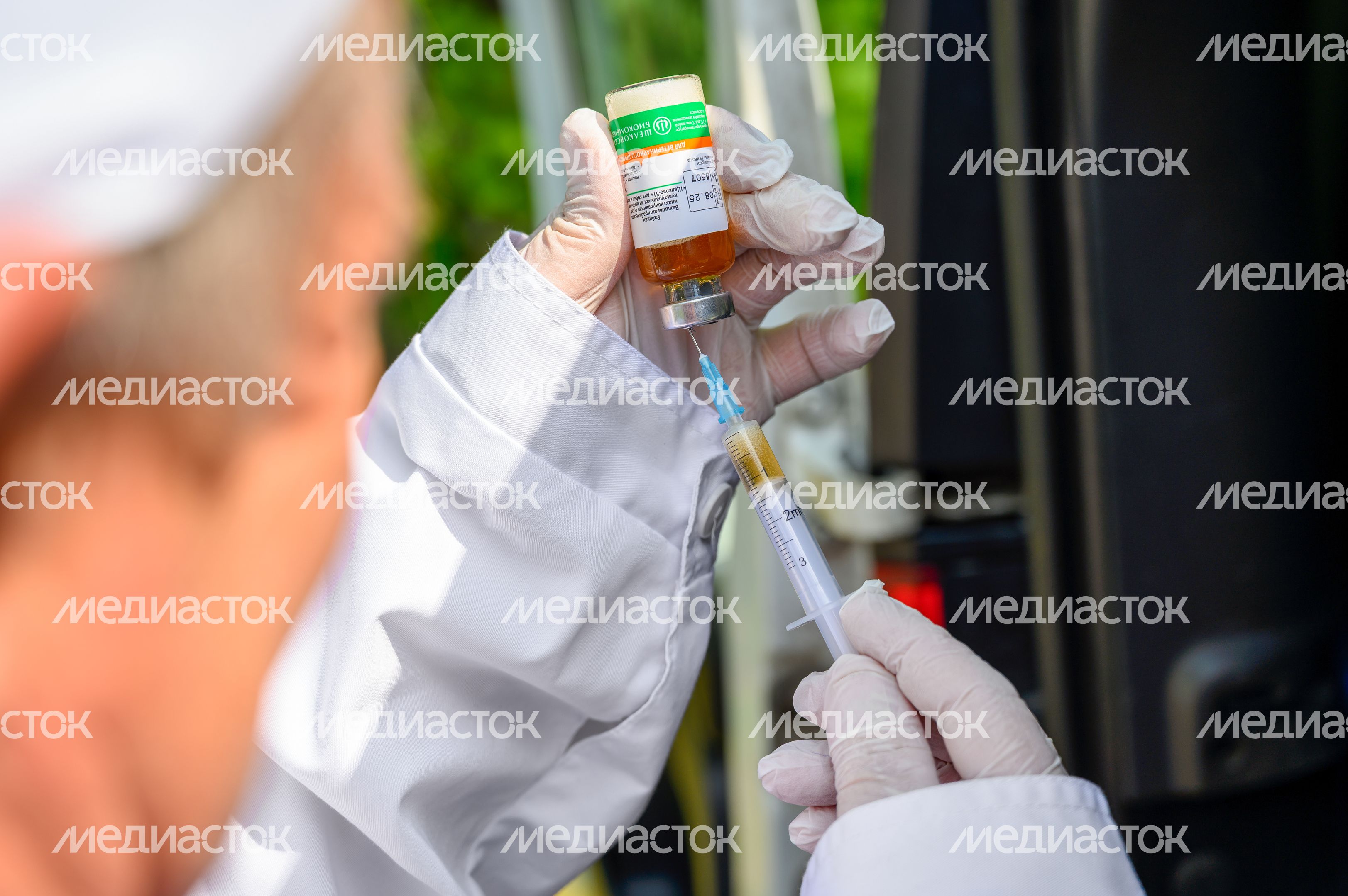 Выездная акция по чипированию и вакцинации животных в парке «Взлет» Домодедово Выездная акция по чипированию и вакцинации животных в парке «Взлет» Домодедово