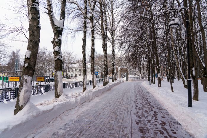 Зима в городском парке «Гучково» в Дедовске округа Истра