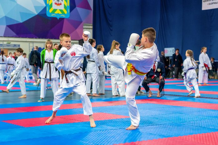 Чемпионат и Первенство России по восточному боевому единоборству сетокан в городе Видное Ленинского округа