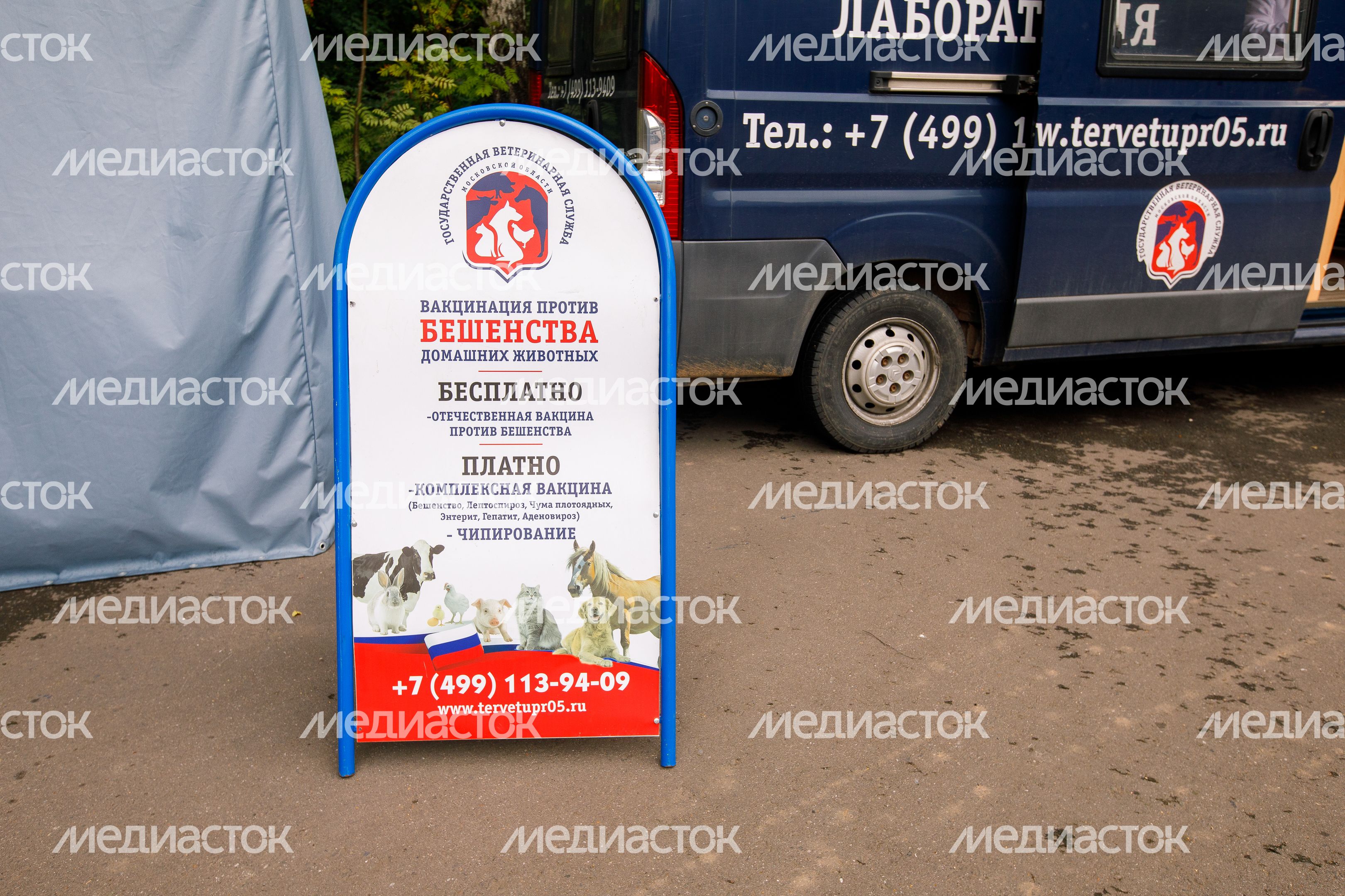 Вакцинация и чипирование животных в парке «Взлет» Домодедово Вакцинация и чипирование животных в парке «Взлет» Домодедово