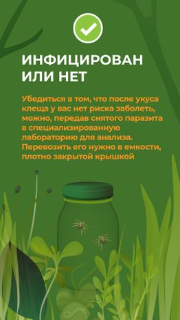 комлесхоз_клещи_верт_8