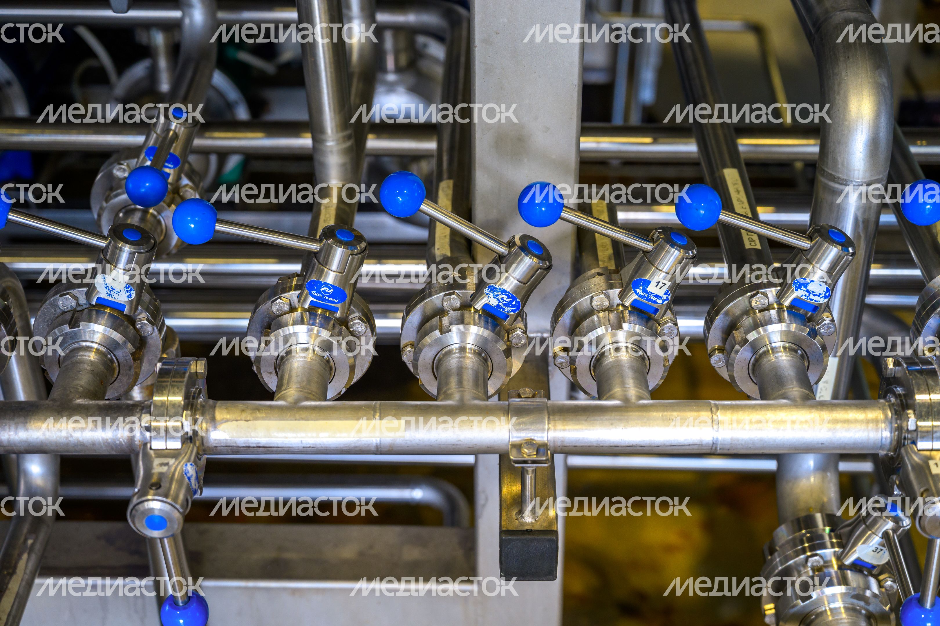 Экскурсия на пивоварню Zagovor Brewery в Мытищах Экскурсия на пивоварню Zagovor Brewery в Мытищах