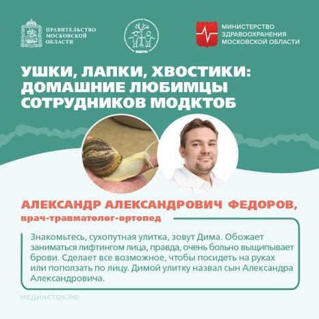 Ушки, лапки, хвостики квадрат 04
