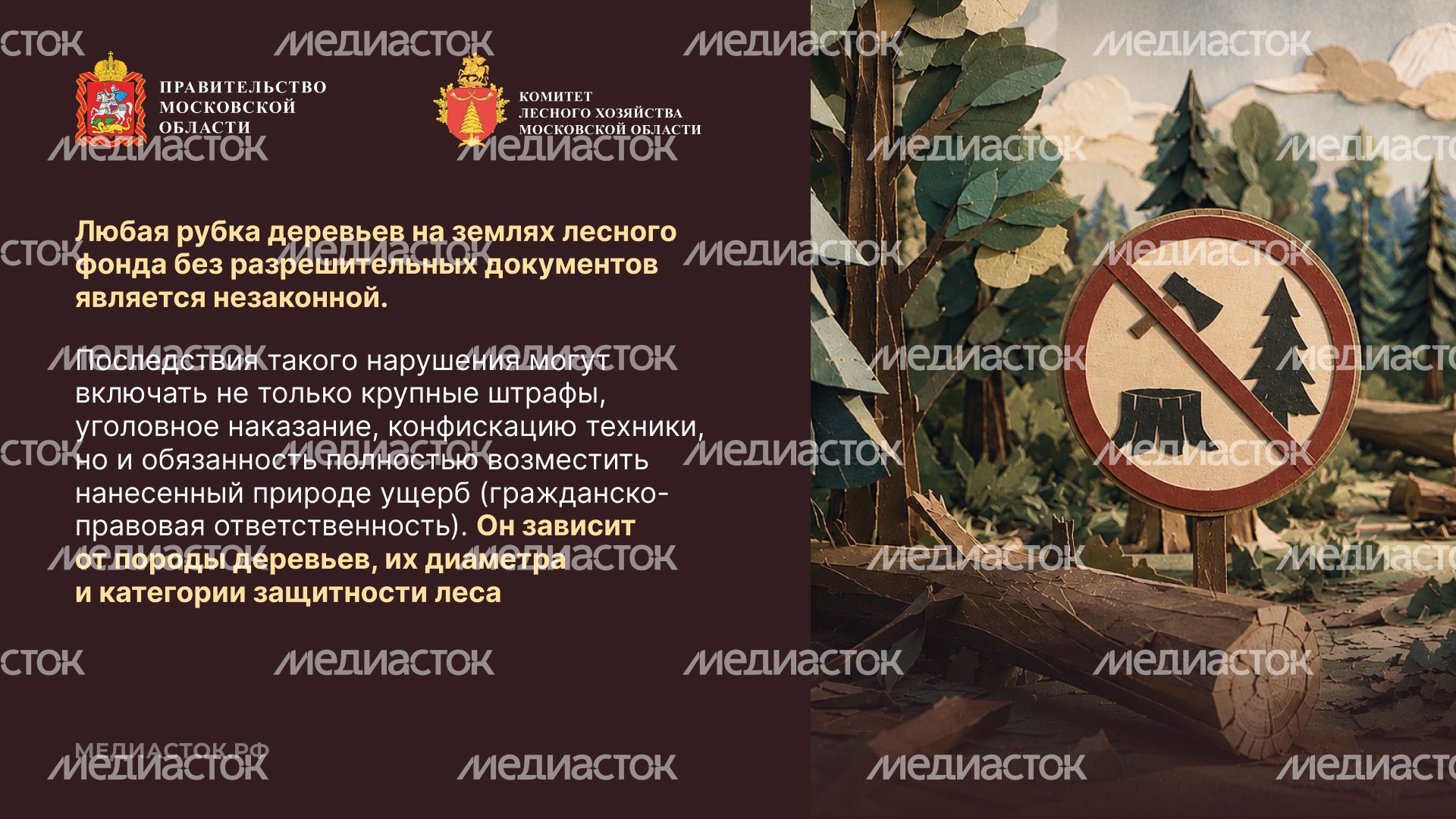Незаконная рубка горизонталь 09