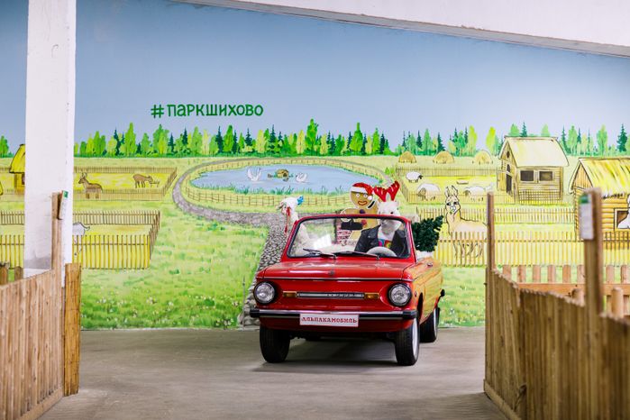 Зооферма "Шихово" в Дмитровском округе зимой