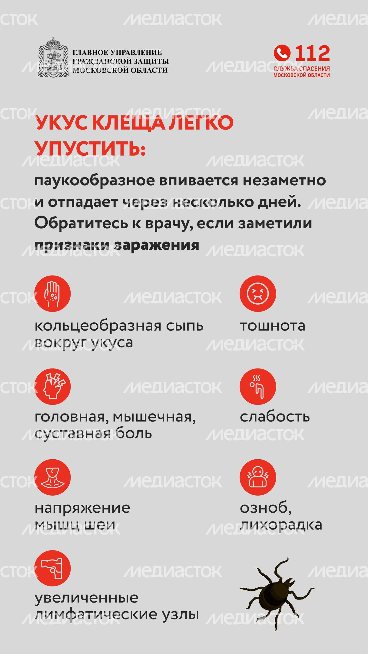 клещи_вертикаль_07