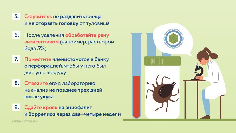 Как защититься от клещей горизонталь 09