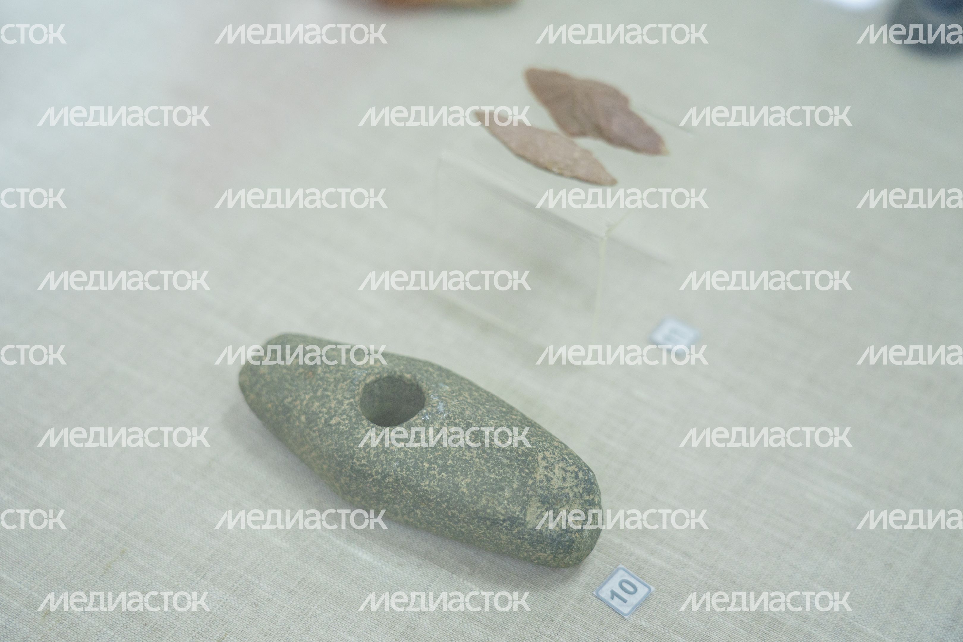 Музей Дубны. Отделение археологии и краеведения