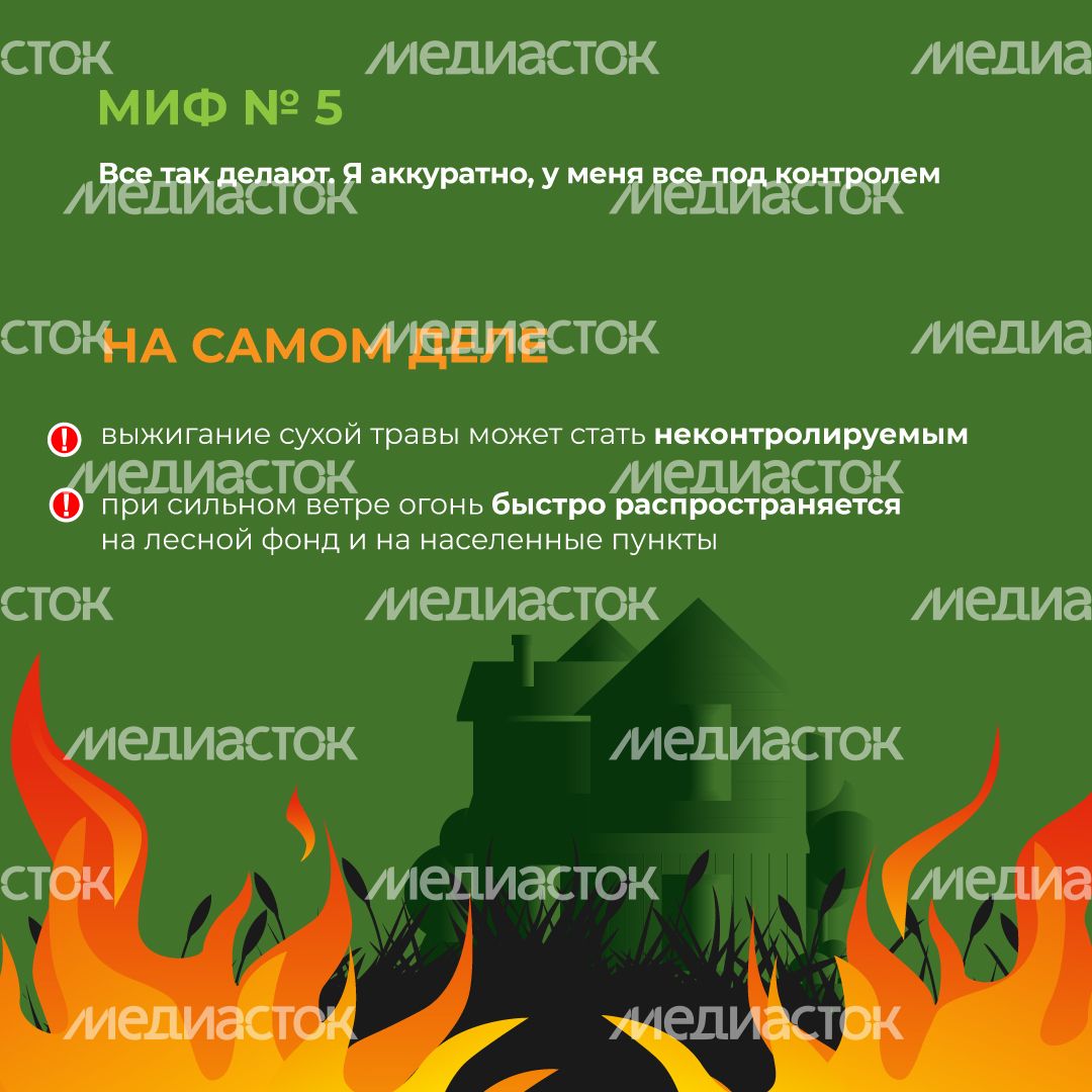 комлесхоз_пал_кв_6.jpg