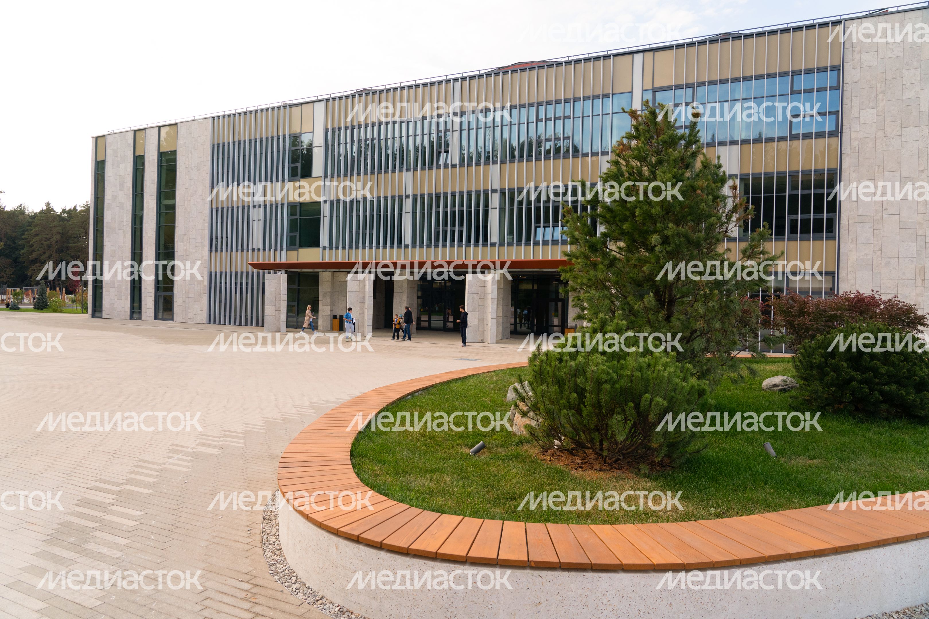 Истра. Областной технолицей им. В.И. Долгих