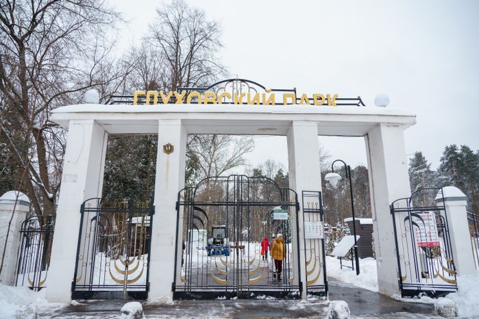 Богородский. Ногинск. Глуховский парк. Зима