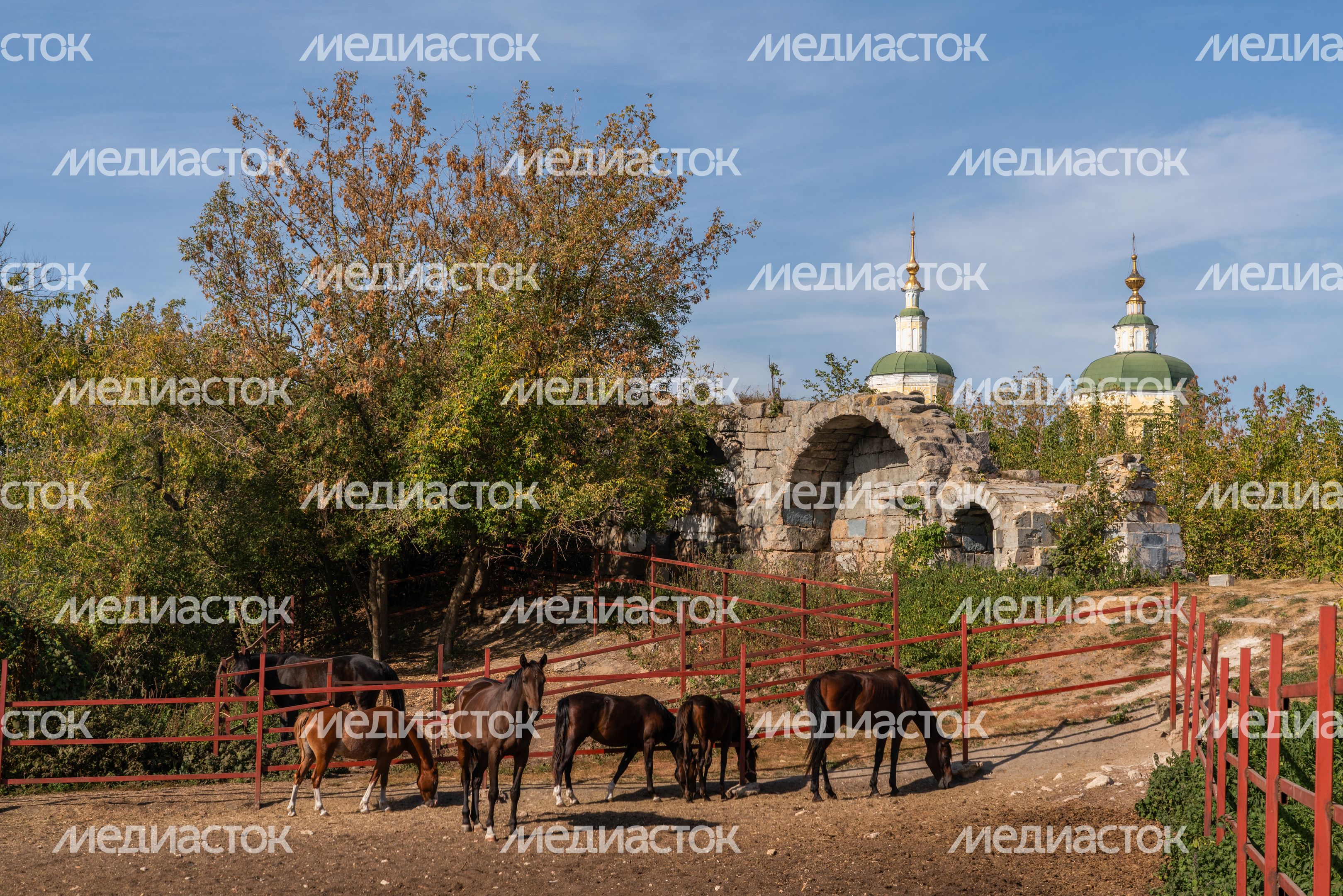 Серпуховский кремль Серпуховский кремль
