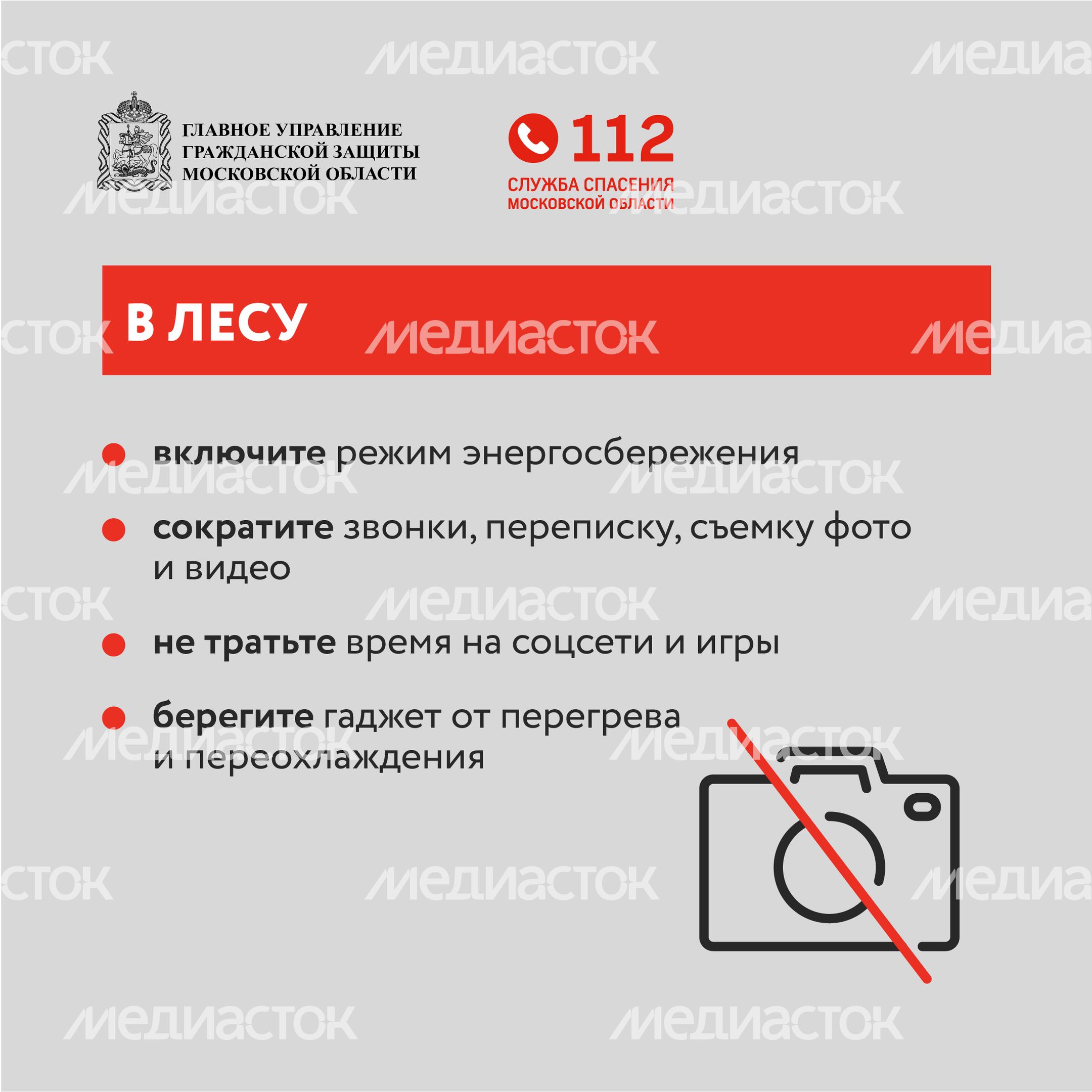 Как не остаться без связи в лесу-квадрат-05