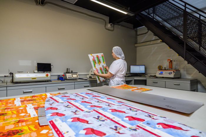 Завод по производству упаковки для пищевых продуктов «МолоПак» в Чехове