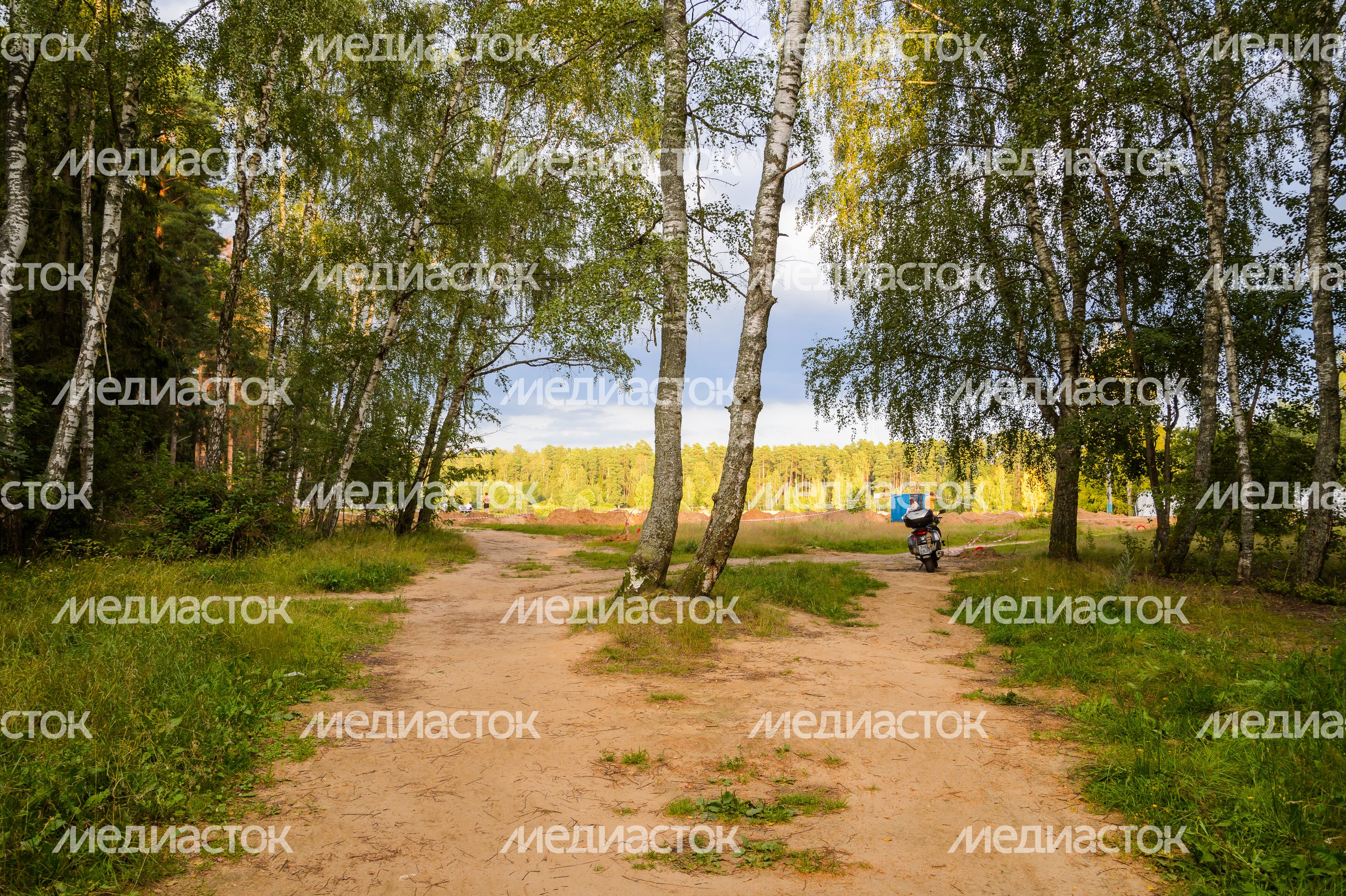 Черноголовка. Озеро Южное