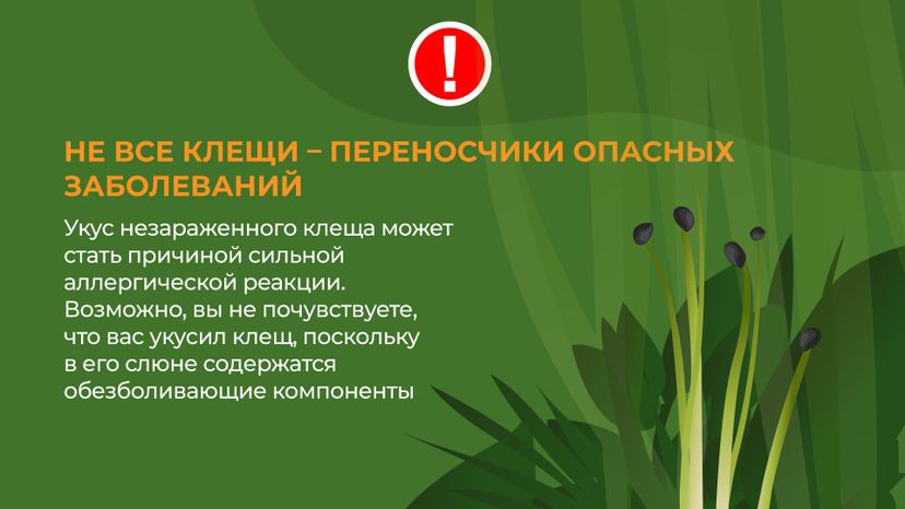 комлесхоз_клещи_гор_7