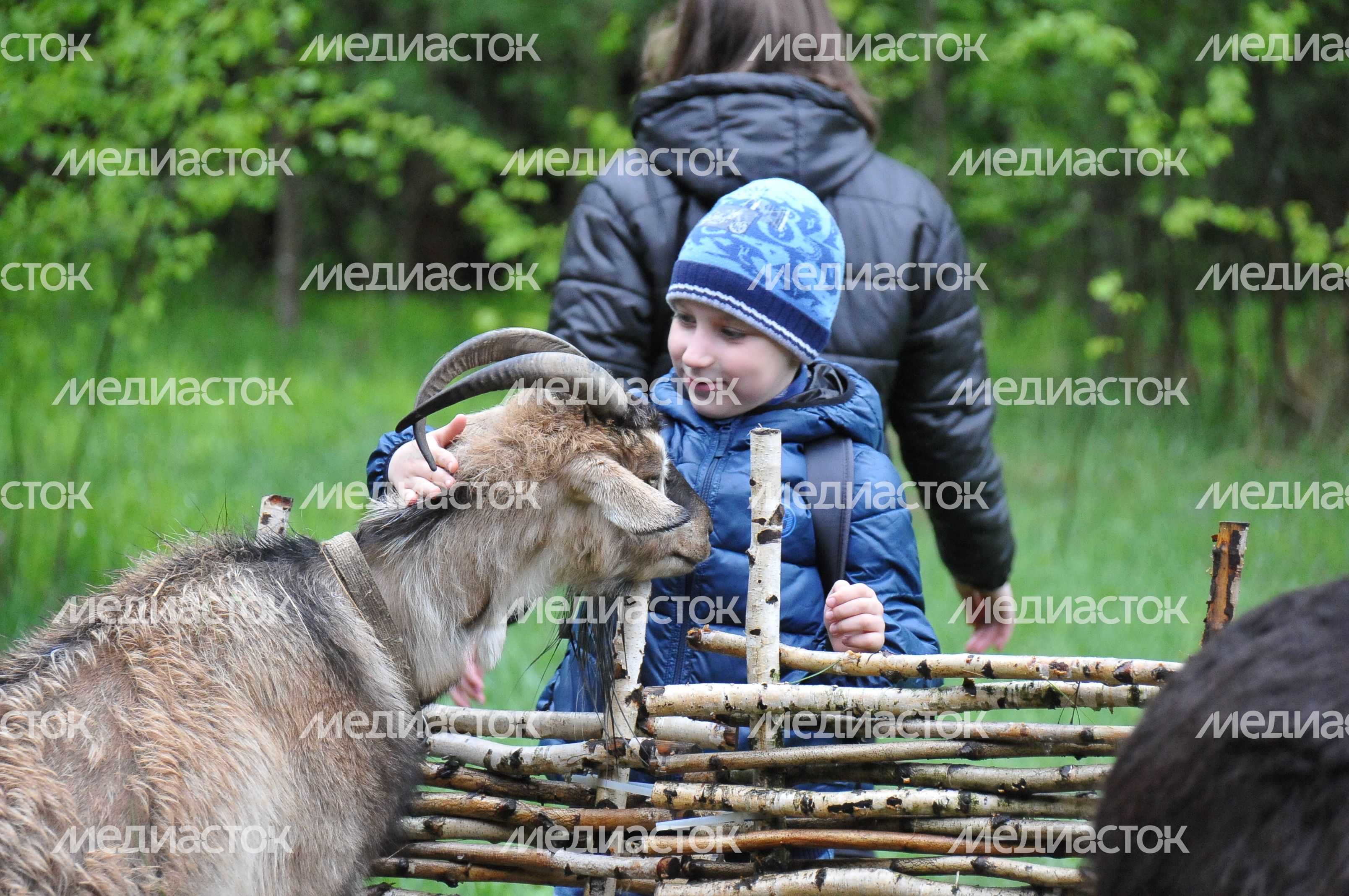 Казачий праздник в Ступино