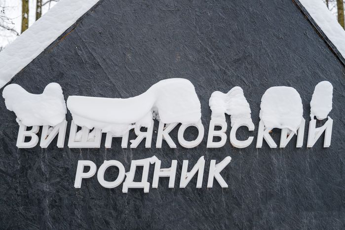 Вишняковский лесопарк в Балашихе. Зима