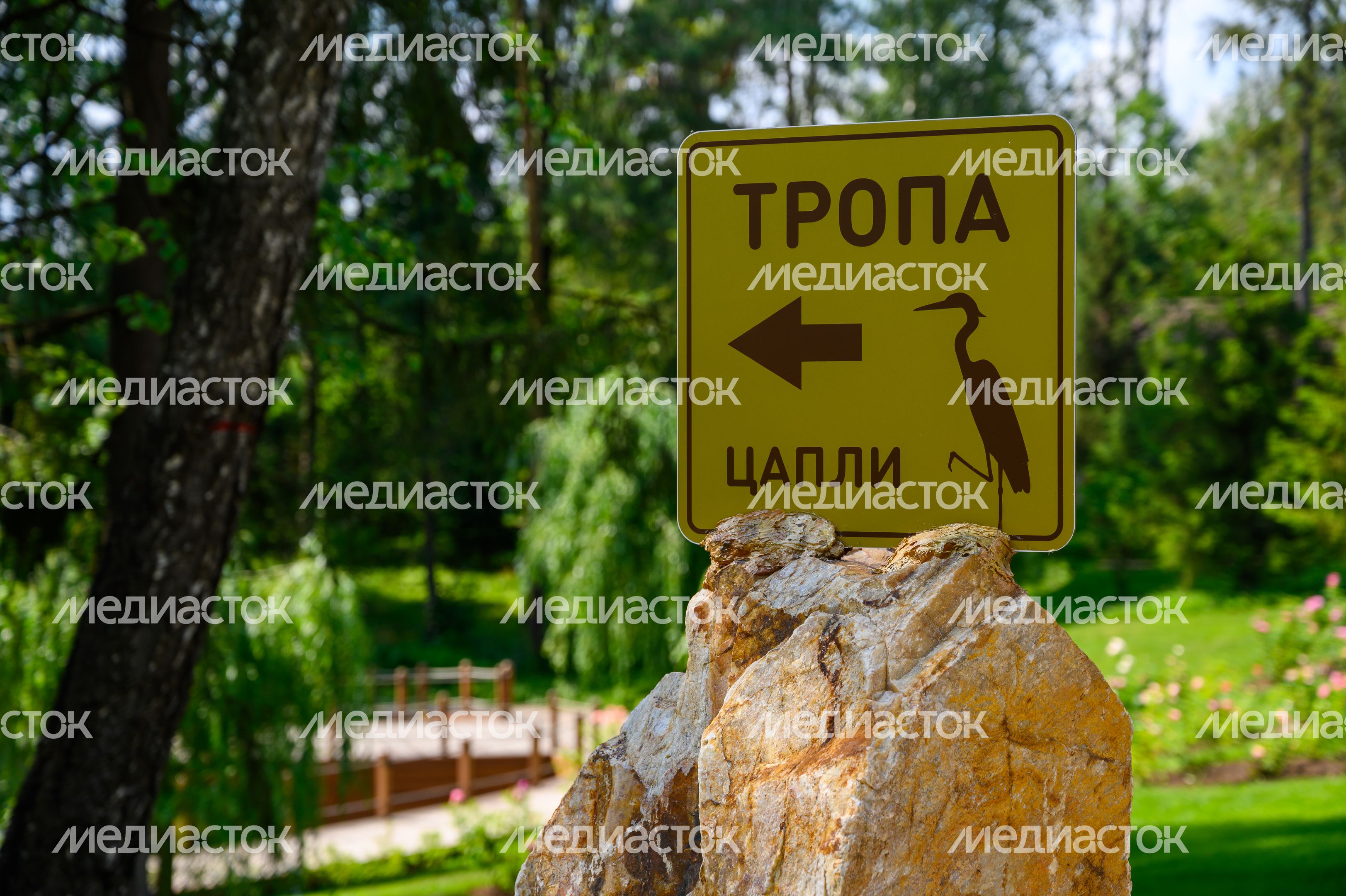 Каменная тропа в лесопарке «Ближняя дача» в Мытищах Каменная тропа в лесопарке «Ближняя дача» в Мытищах