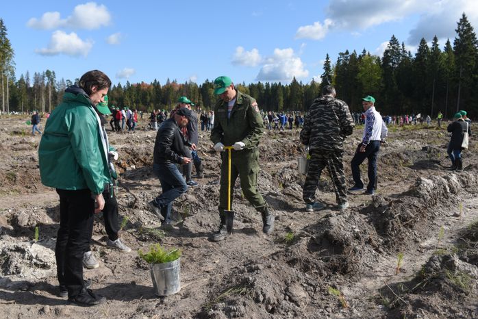 Ежегодная экологическая акция «Наш лес. Посади свое дерево» в Одинцовском городском округе