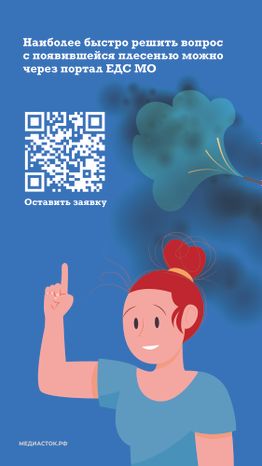 Плесень вертикаль 05