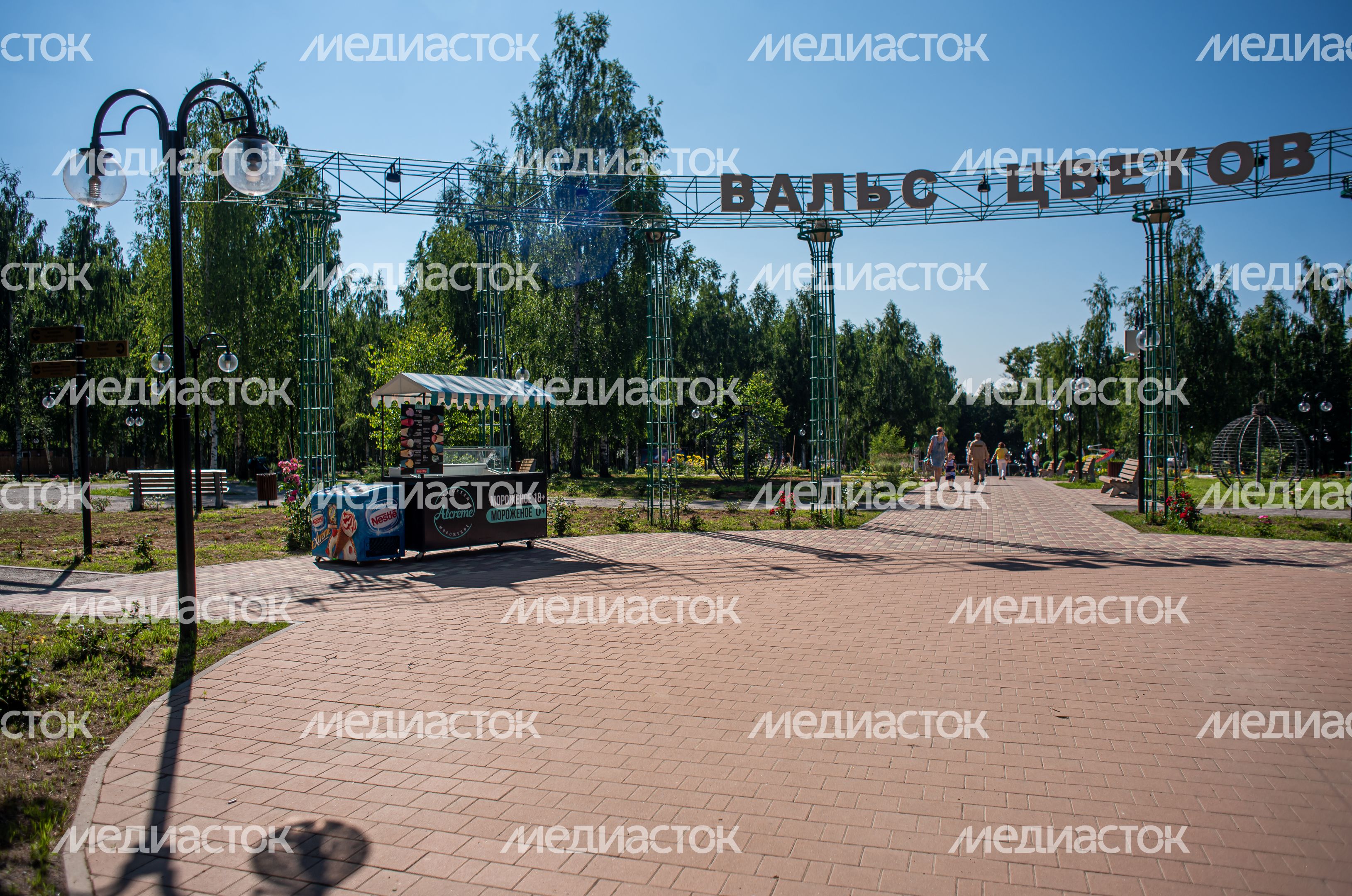 Летние виды Сестрорецкого парка в Клину