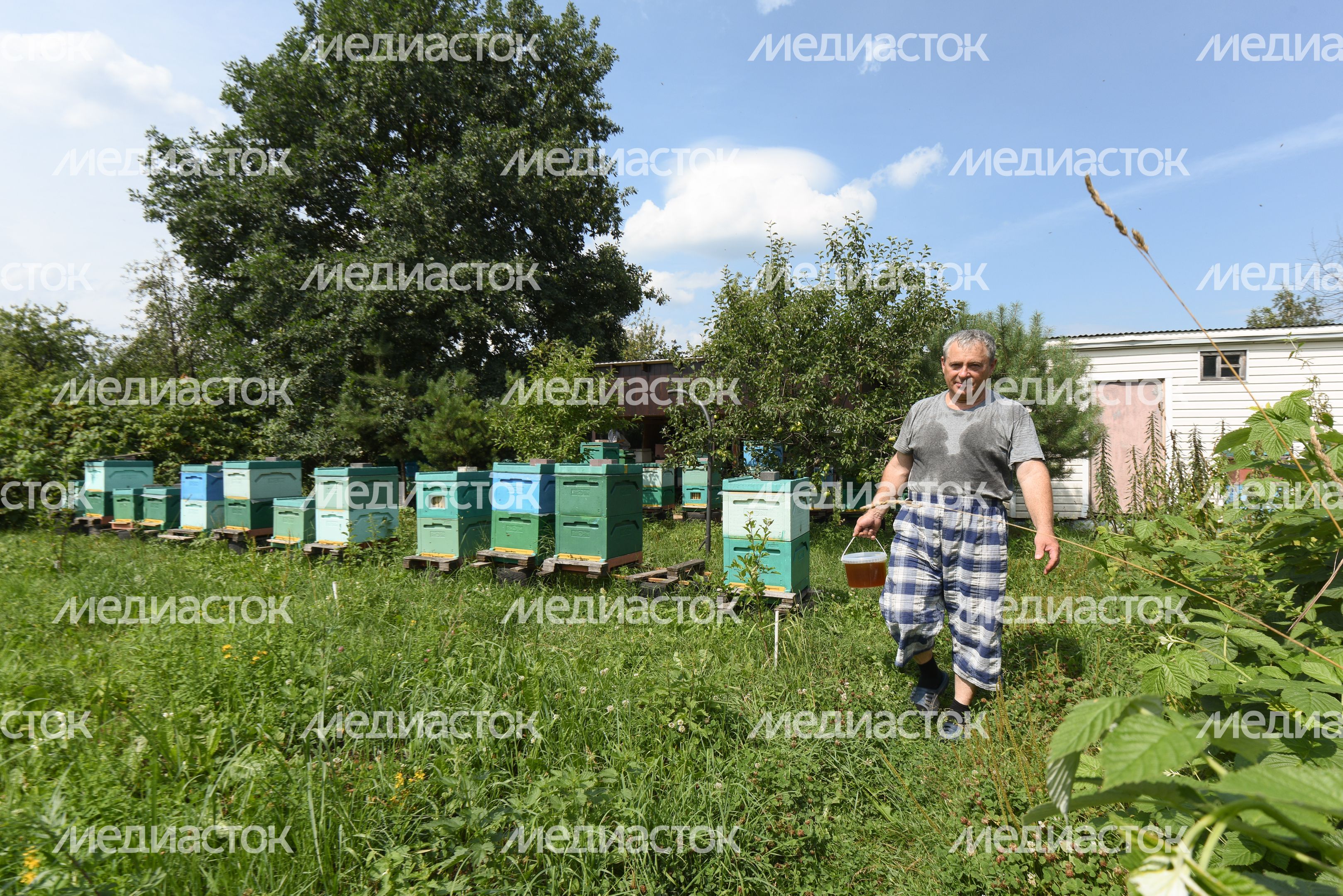 Пчеловод из Королева, 2 часть Пчеловод из Королева, 2 часть