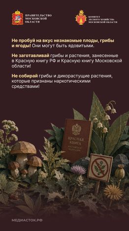 Пребывание граждан в лесах Вертикаль 08
