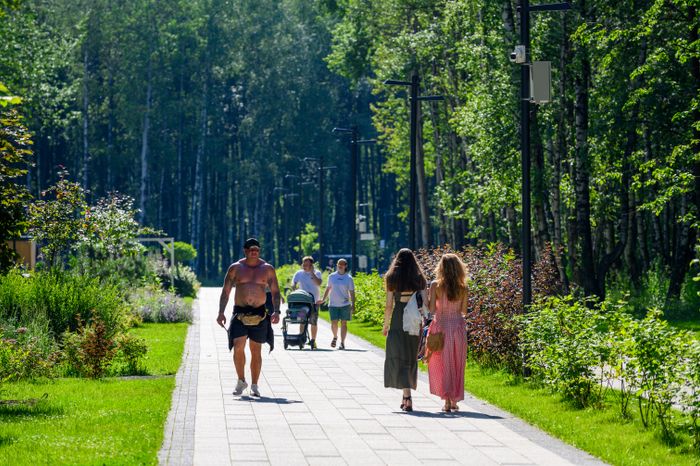 Прогулка в парке «Авангард» летом в Электростали