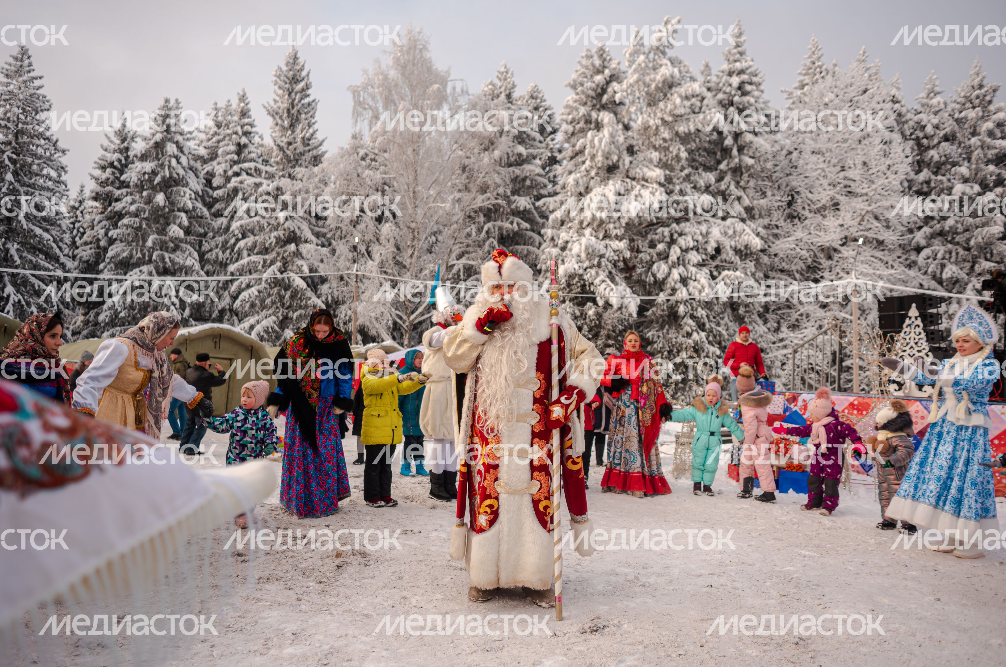 Рубка главной новогодней елки страны