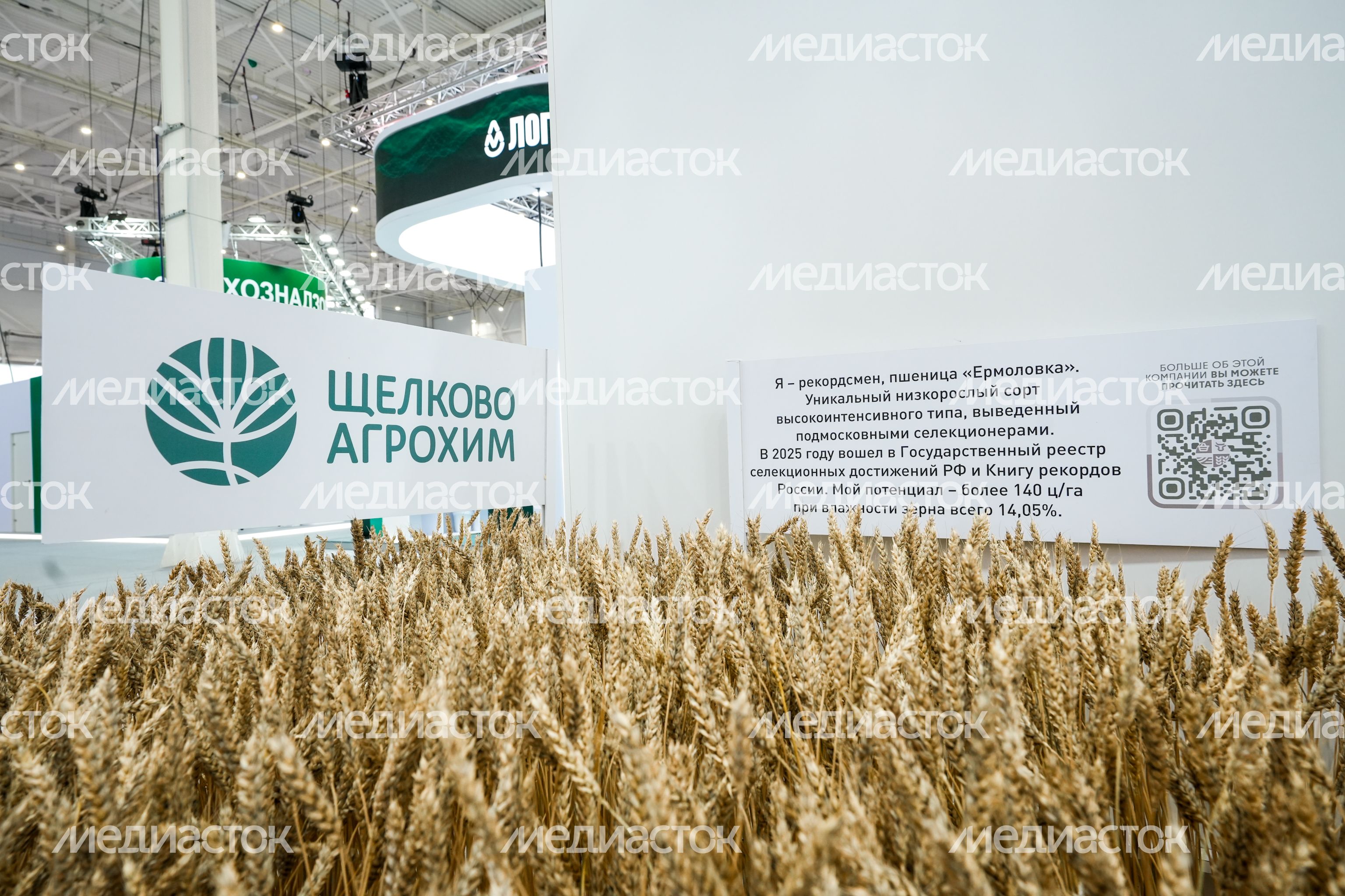 Стенд Подмосковья на выставке "Золотая осень - 2025" Стенд Подмосковья на выставке "Золотая осень - 2025"