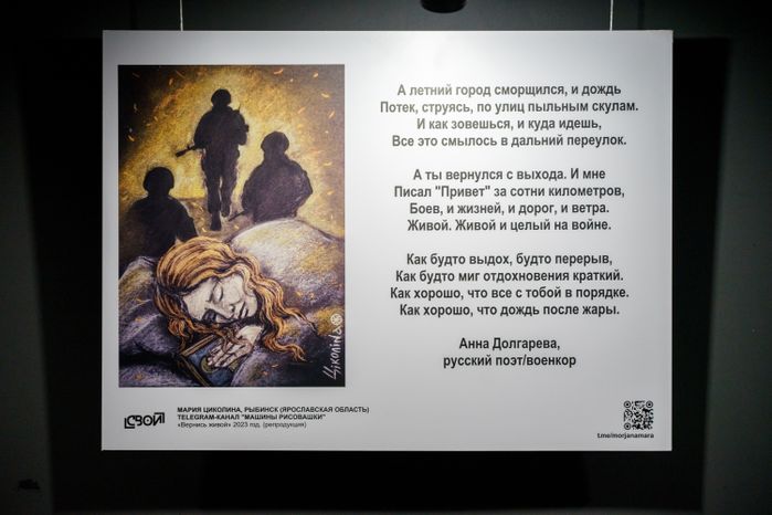 Домодедово. Молодежный центр "Победа". Выставка "Свои"