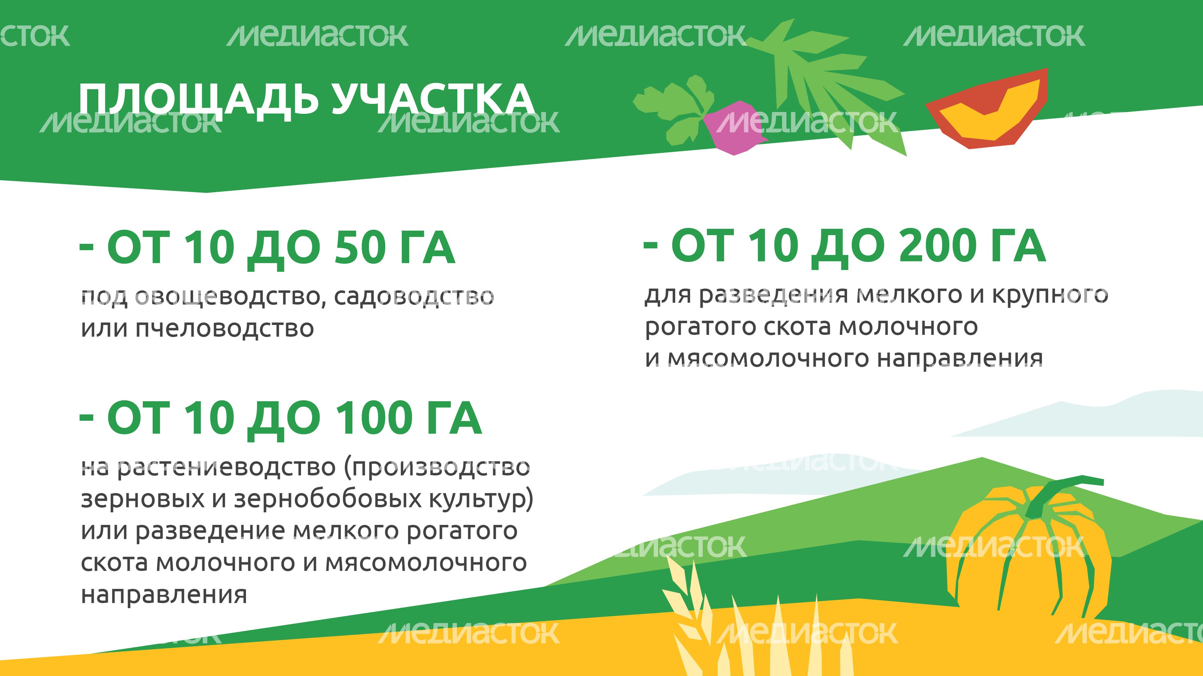 _Подмосковье 10г_-12.jpg